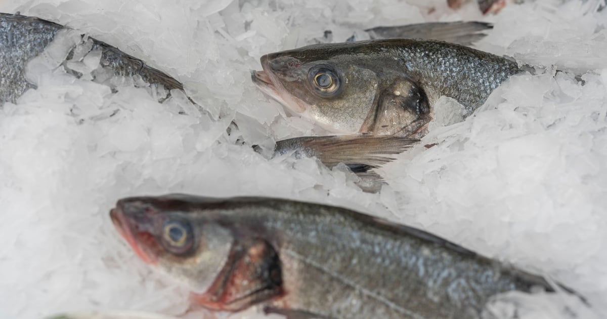Seafood: Fresh