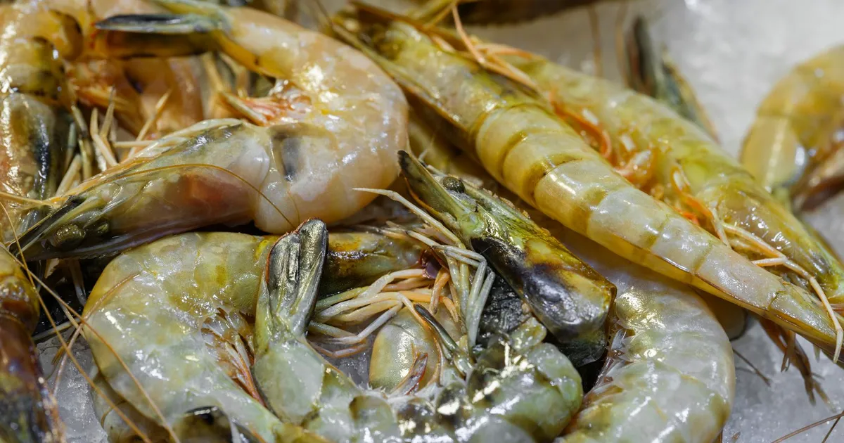 Fresh raw shrimp on ice at a market
